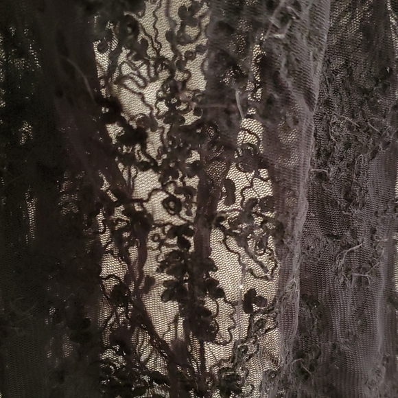 Lace shell - Picture 2 of 2